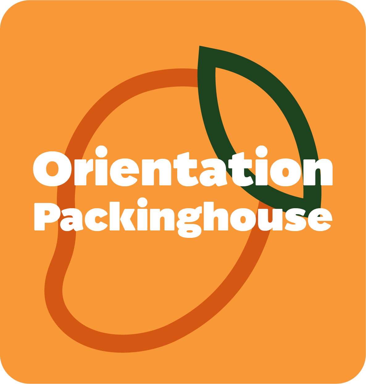 Mango Orientation